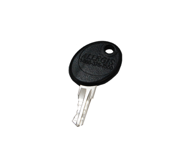 KEY_1250_1_Allegis_Key_1_1.png
